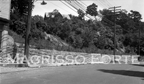 Roosevelt Dr